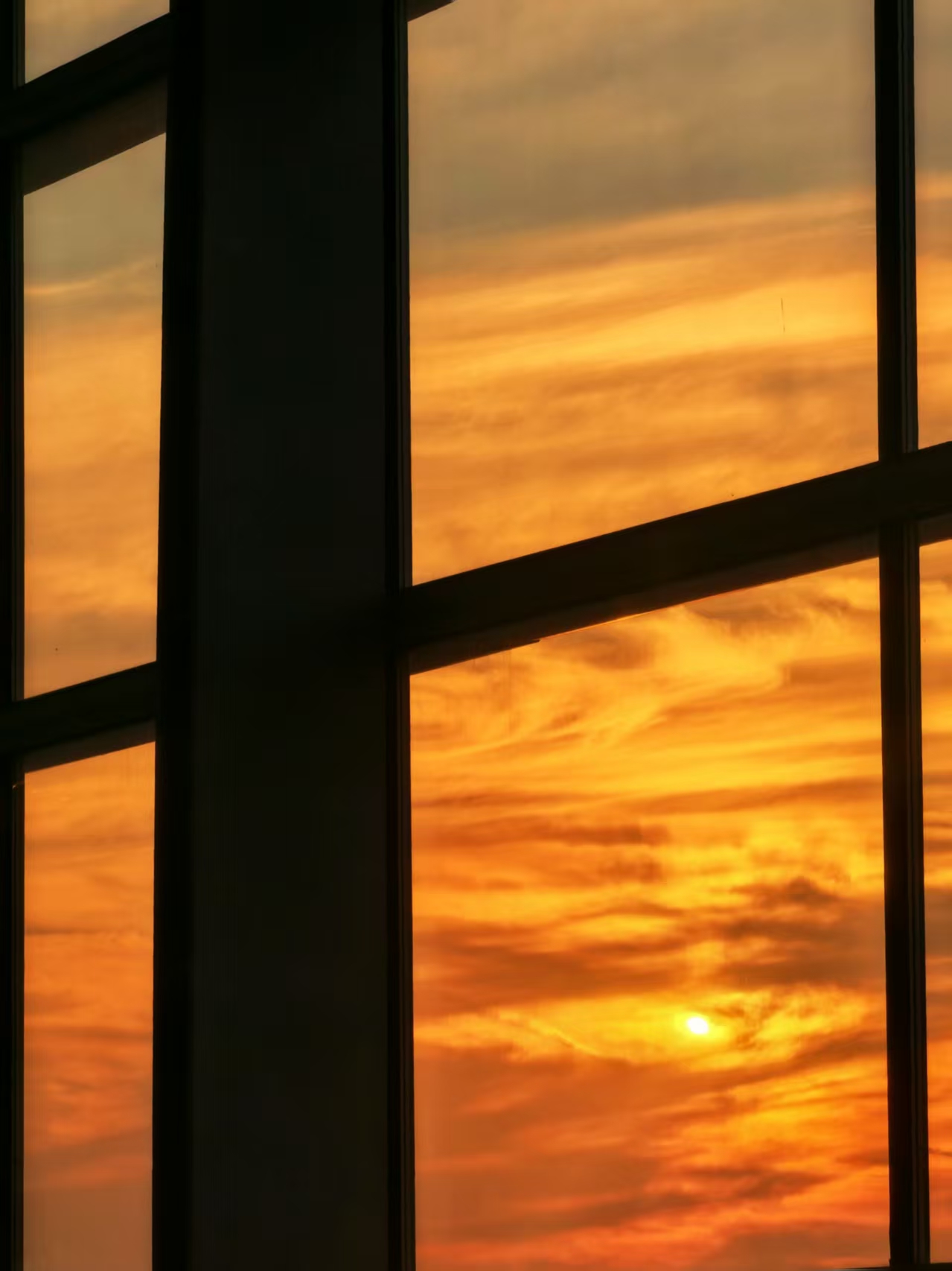 2025年10月16日雅思真题发布