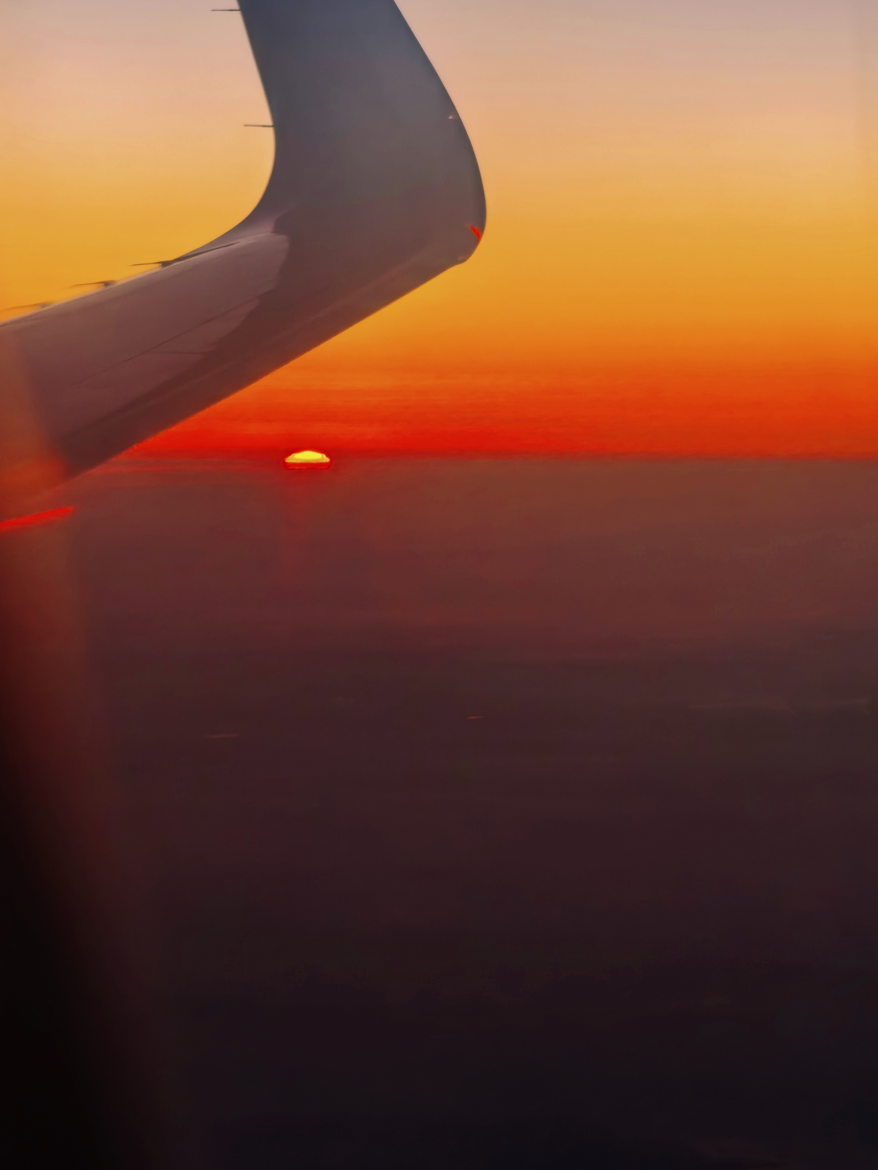 2026年2月5日雅思真题发布