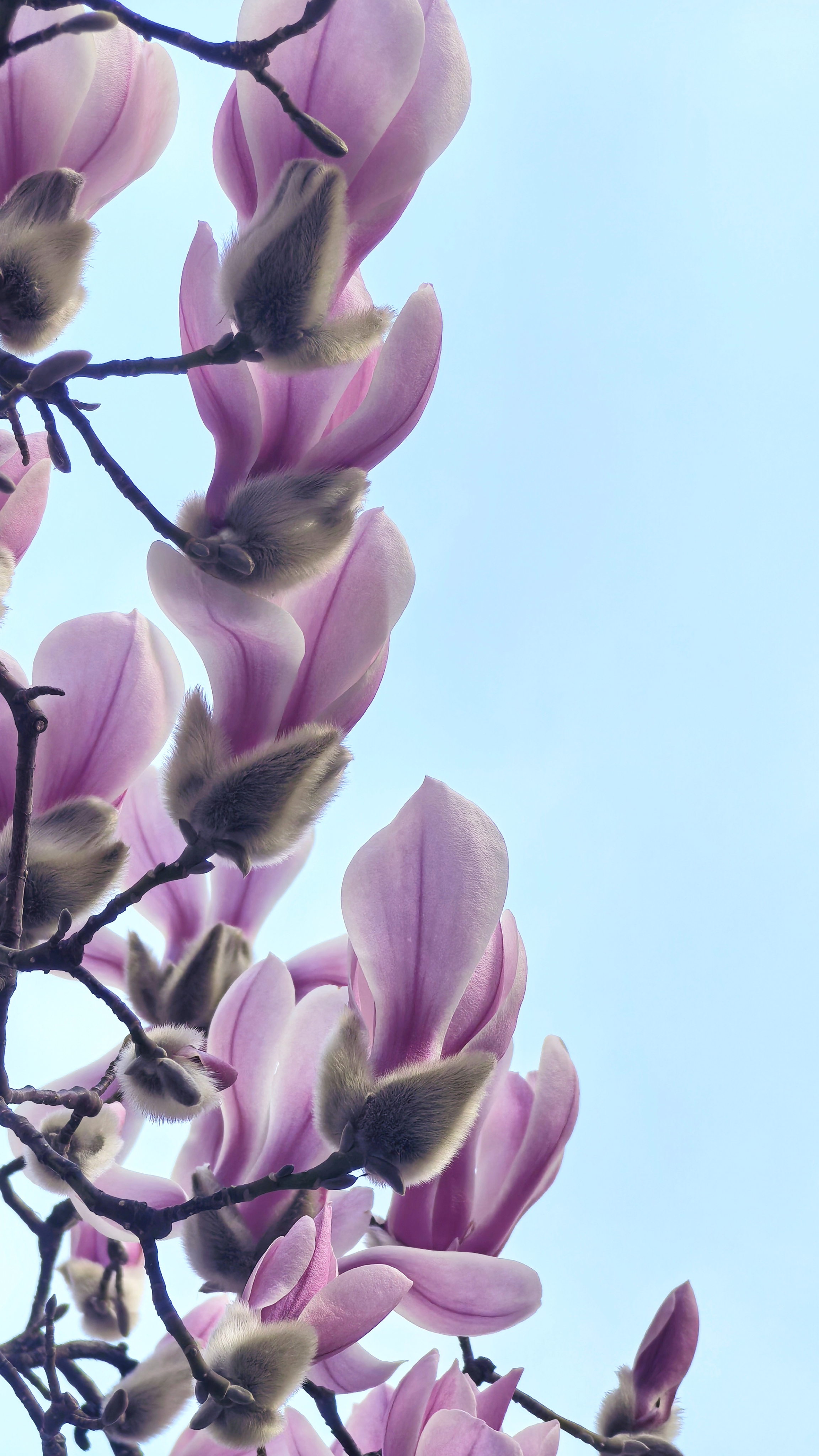 2026年3月26日雅思真题发布